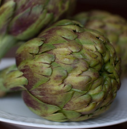 artichokes