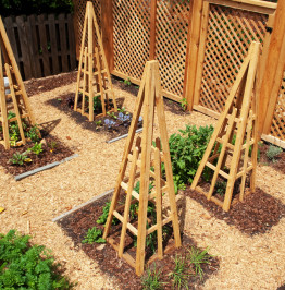 birds-eye-view-of-back-garden