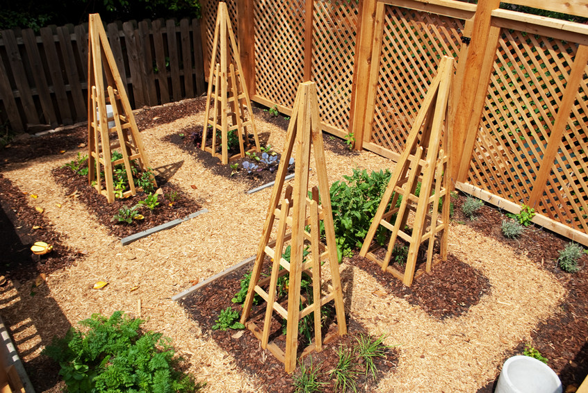 birds-eye-view-of-back-garden