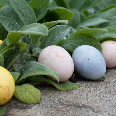 eggs-on-granite-wall