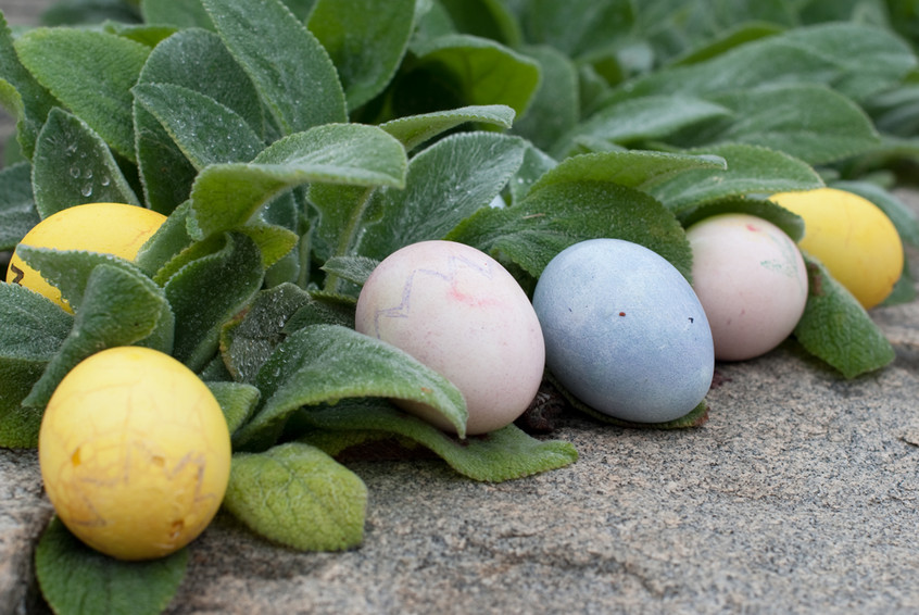 eggs-on-granite-wall