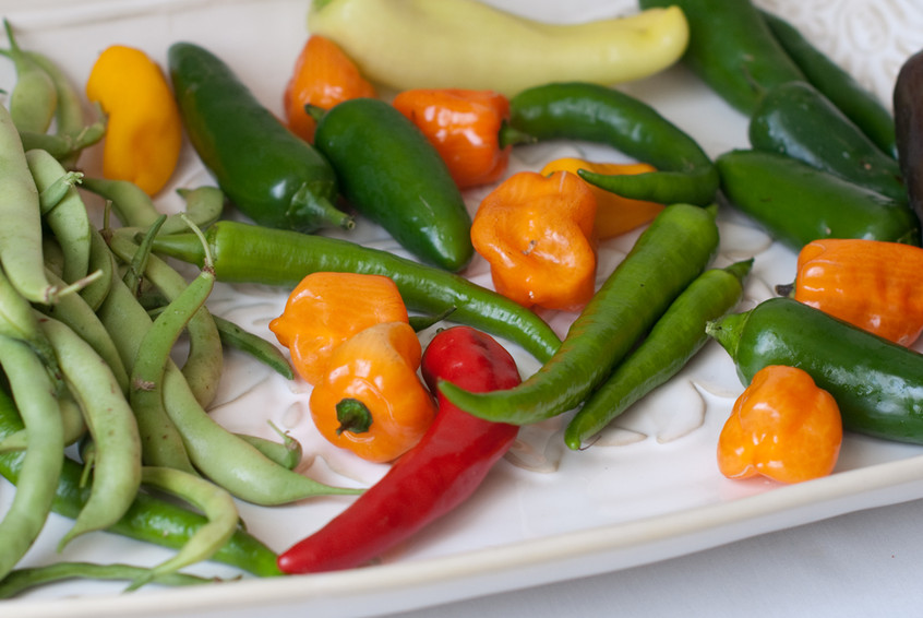 freshly-picked-peppers-and-beans-from-lee-loree