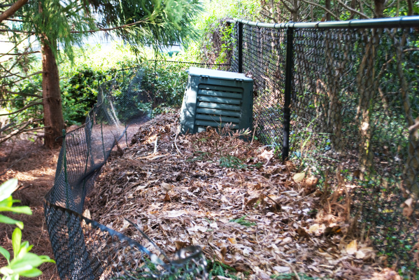 lees-compost-area-behind-trees