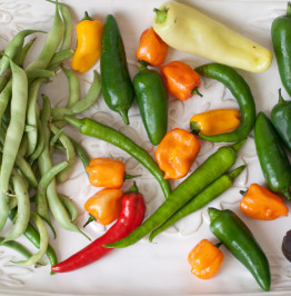 vegetables-from-the-garden-of-lee-lorree