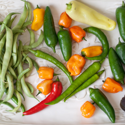 vegetables-from-the-garden-of-lee-lorree