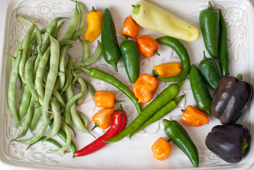 vegetables-from-the-garden-of-lee-lorree