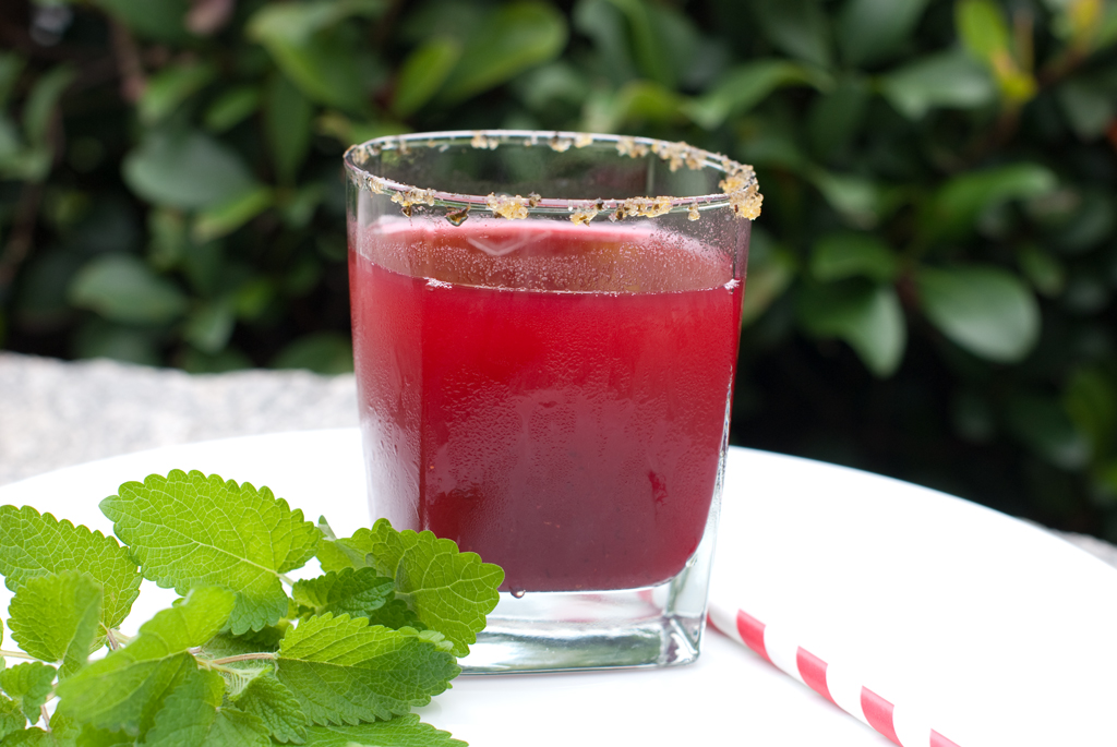 Iced cranberry lemon drink pitcher, paths Stock Photo by maxsol7