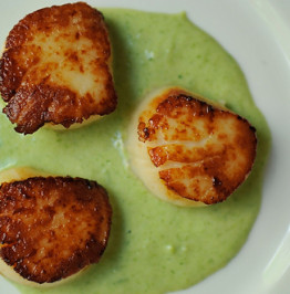 seared-scallops-with-spring-onion-and-tarragon-cream-Food-52-picture