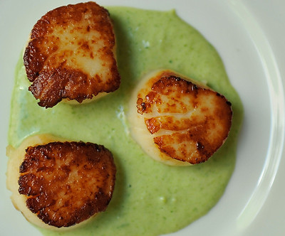 seared-scallops-with-spring-onion-and-tarragon-cream-Food-52-picture