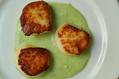 seared-scallops-with-spring-onion-and-tarragon-cream-Food-52-picture