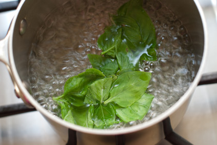 boiling-the-basil