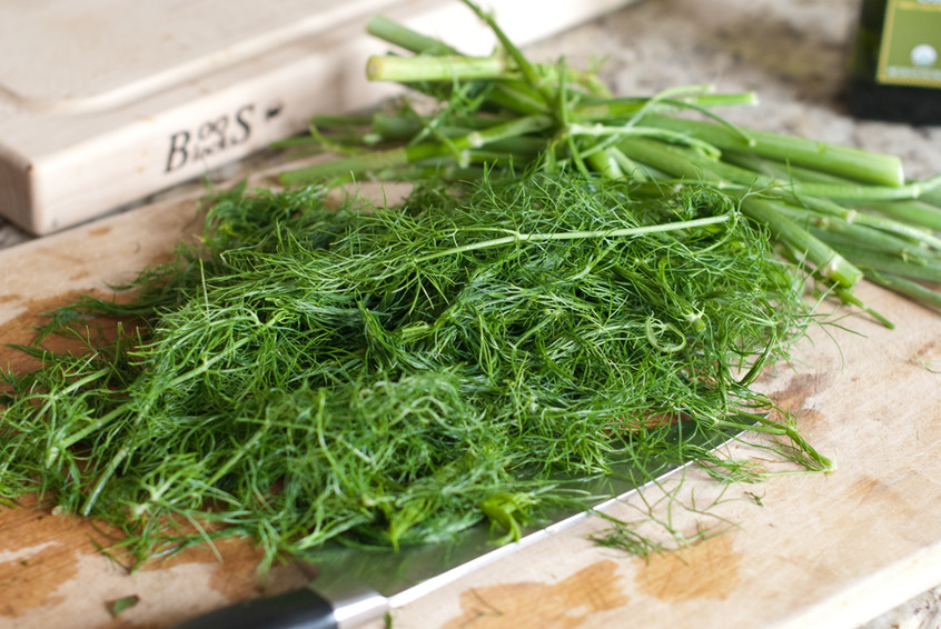 fennel-fronds