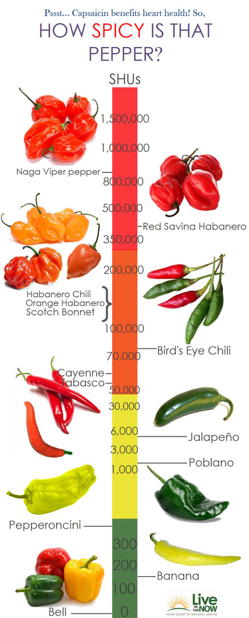 hot-pepper-chart