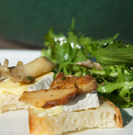 mushroom-and-camembert-toast-appetizer