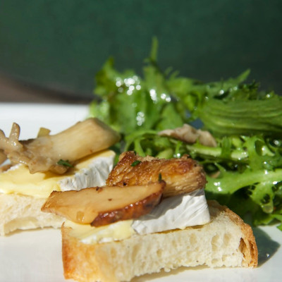 mushroom-and-camembert-toast-appetizer