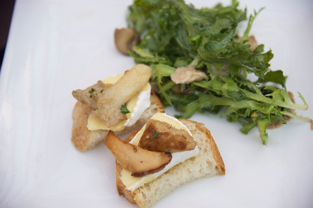 mushroom-and-camembert-toast-with-salad